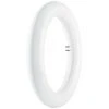 Osram LED T9 Rundröhre Mit 20 Watt, G10q, Tageslichtweiß, 2000 Lumen