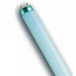 Osram Leuchtstofflampe L 36 Watt 830 XXT 75000h Warmweiss
