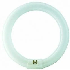 Osram Leuchtstofflampe L 22 Watt 865 Tageslicht C Tageslicht T8 G10Q Circular 26mm Tube