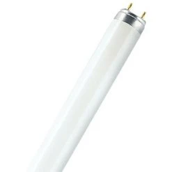 Osram Leuchtstoffröhre G13 36W, Kaltweiß, Dimmbar, Weiß Matt Osram Leuchtstoffröhre Osram 0773702723 4008321331960
